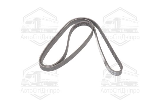 Ремінь полікліновий (Вир-во DAYCO)