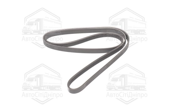 Ремінь полікліновий (Вир-во DAYCO)