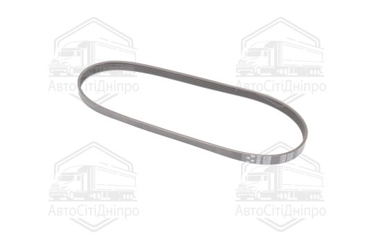 Ремінь полікліновий (Вир-во DAYCO)