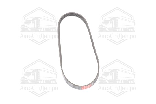 Ремінь полікліновий (Вир-во DAYCO)