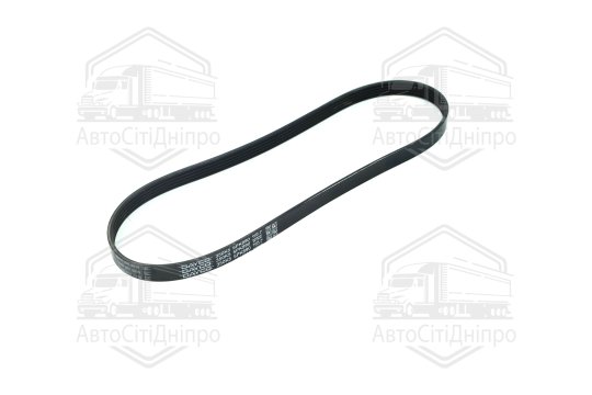 Ремінь поліклін. (вир-во DAYCO)