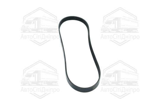 Ремінь поліклін. (вир-во DAYCO)