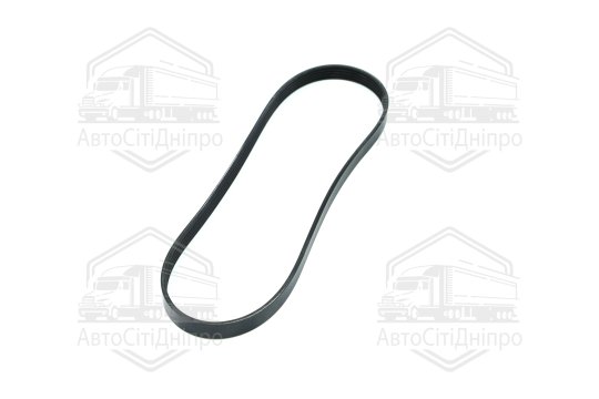 Ремінь поліклін. (вир-во DAYCO)