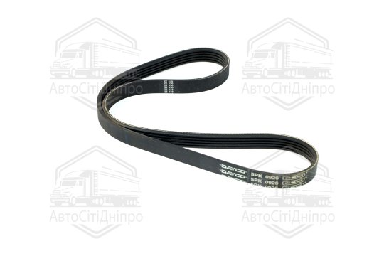 Ремінь полікліновий (Вир-во DAYCO)