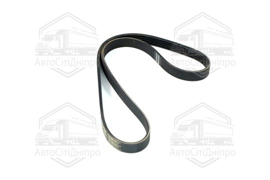 Ремінь полікліновий (Вир-во DAYCO)