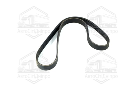 Ремінь полікліновий (Вир-во DAYCO)