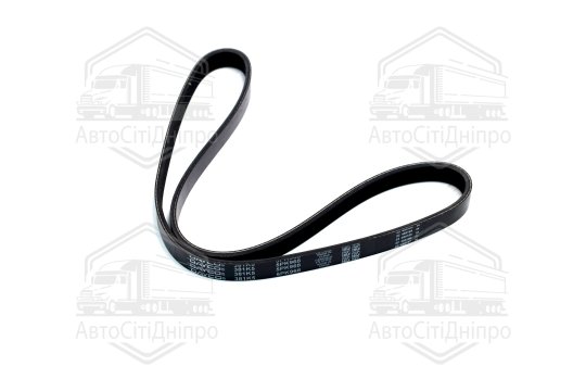 Ремінь поліклін. DAEWOO LANOS седан (KLAT) 1.5 (Вир-во DAYCO)