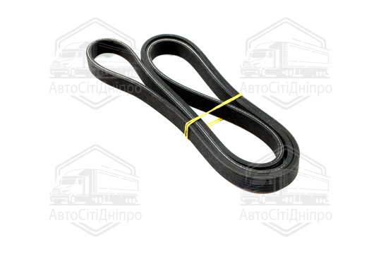 Ремінь поліклін. (Вир-во DAYCO)