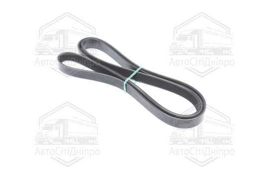 Ремінь полікліновий (Вир-во DAYCO)