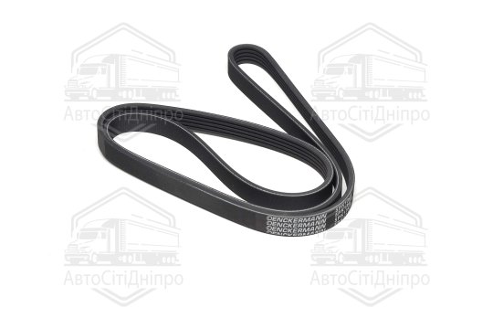 Пасок поліклиновий