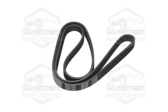 Пасок поліклиновий