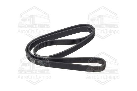 Пасок поліклиновий