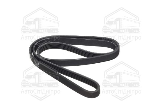 Пасок поліклиновий