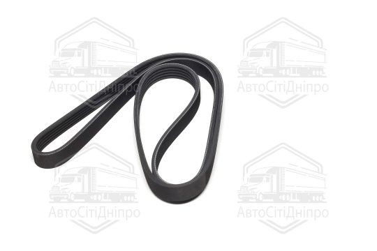 Пасок поліклиновий