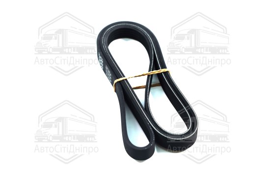 Ремінь поліклиновий (Вир-во DENCKERMANN)