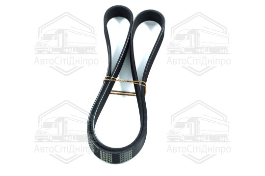 Ремінь поліклиновий (Вир-во DENCKERMANN)