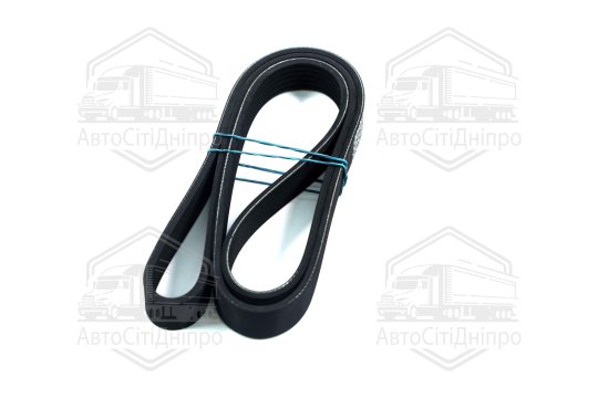 Ремінь поліклиновий (Вир-во DENCKERMANN)