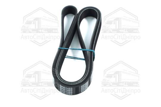 Ремінь поліклиновий (Вир-во DENCKERMANN)