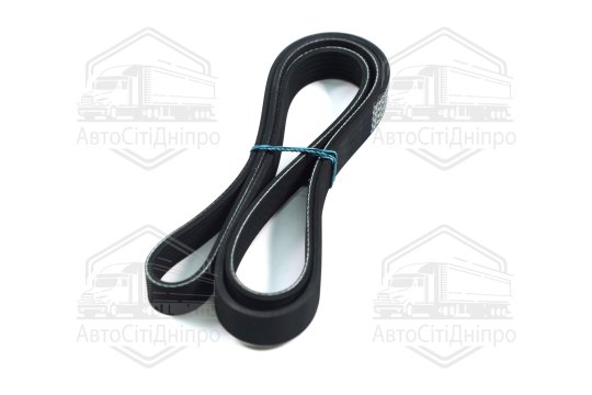 Ремінь поліклиновий (Вир-во DENCKERMANN)