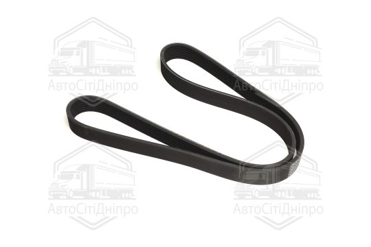 Пасок поліклиновий