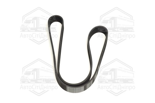 Пасок поліклиновий