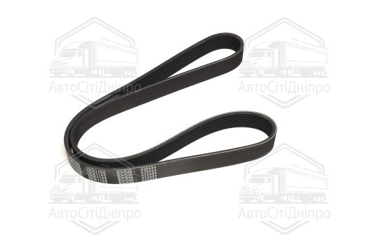 Пасок поліклиновий