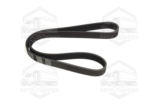 Пасок поліклиновий