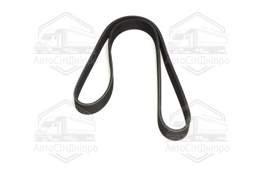 Пасок поліклиновий