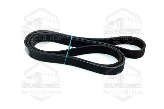 Ремінь поліклиновий (Вир-во DENCKERMANN)