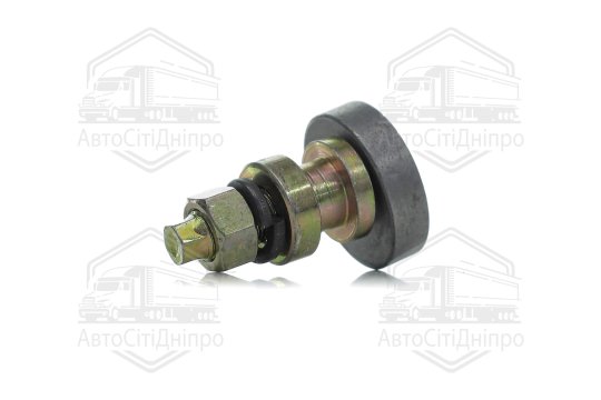 Болт ексцентрика ГАЗ 3302 ГАЗЕЛЬ гальм задніх у зборі (DETALKA)