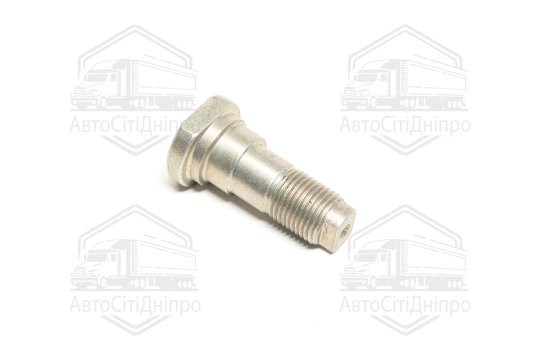 Палець ексцентриків ГАЗ 3307,4301,ПАЗ (задніх колодок КААЗ 16.3501069) (DETALKA)