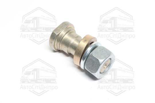 Палець ексцентриків ГАЗ 3307,4301, ПАЗ (з ексцентриком, гайкою та гровером) (DETALKA)