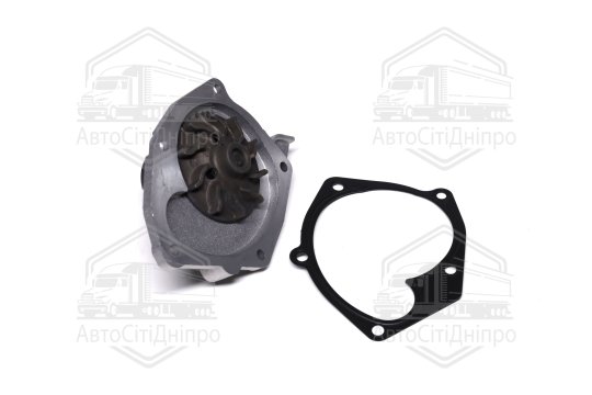 Насос водяний (вир-во Dolz)