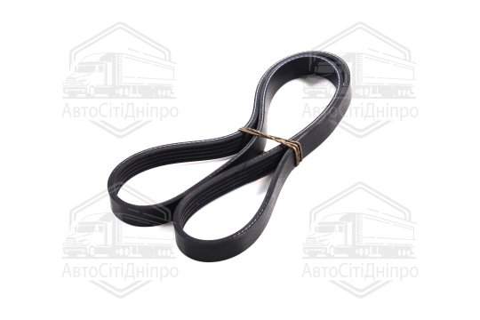 Ремінь поліклін. 5PK1008 (вир-во DONGIL)