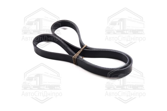 Ремінь поліклін. 5PK1008 (вир-во DONGIL)