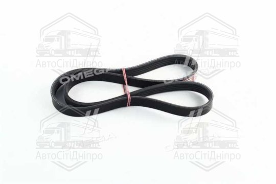 Ремінь поліклін. 5PK1010 Daewoo Lanos 1.6 16v (вир-во DONGIL)