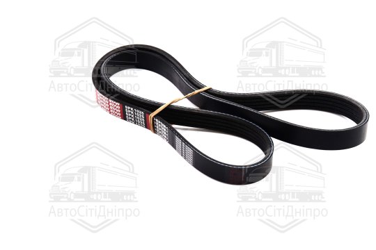 Ремінь поліклін. 5PK1025 (вир-во DONGIL)