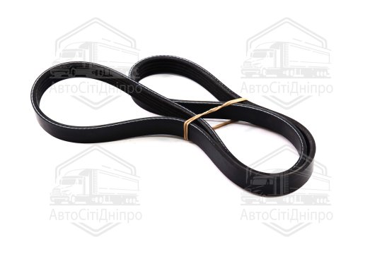 Ремінь поліклін. 5PK1025 (вир-во DONGIL)