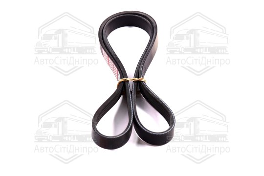 Ремінь поліклін. 5PK1125 (вир-во DONGIL)