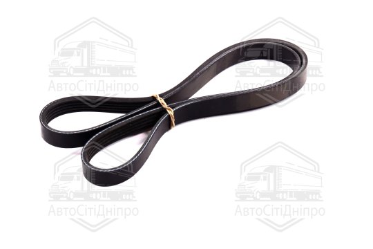 Ремінь поліклін. 5PK1125 (вир-во DONGIL)