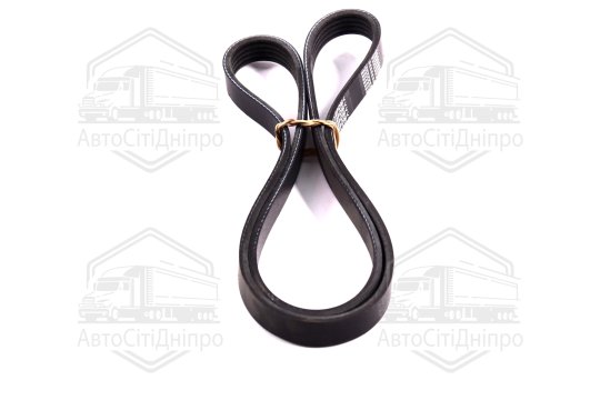 Ремінь поліклін. 5PK1125 (вир-во DONGIL)
