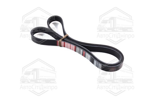Ремінь поліклін. 5PK1135 (вир-во DONGIL)