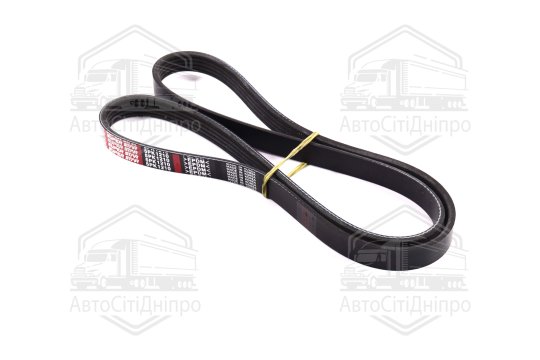 Ремінь поліклін. 5PK1210 (вир-во DONGIL)