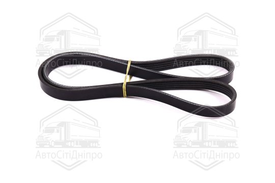 Ремінь поліклін. 5PK1210 (вир-во DONGIL)