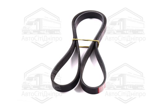 Ремінь поліклін. 5PK1210 (вир-во DONGIL)