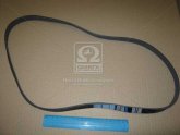 Ремінь поліклін. 5PK1240 (вир-во DONGIL)