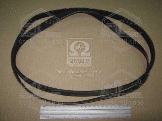 Ремінь поліклін. 5PK1800 (вир-во DONGIL)