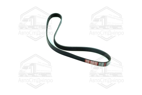 Ремінь поліклін. 6PK1055 (вир-во DONGIL)