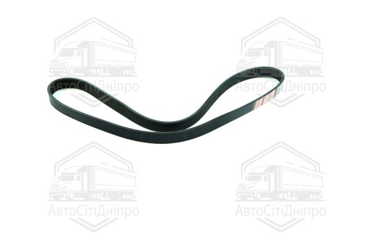 Ремінь поліклін. 6PK1055 (вир-во DONGIL)