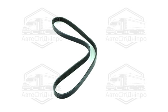 Ремінь поліклін. 6PK1055 (вир-во DONGIL)